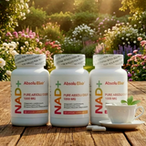 NAD+ Booster 1000mg - 60 Capsules